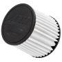 AEM 21-2110BF AEM DryFlow Air Filter