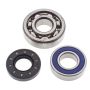 All Balls Racing 14-1028 84-11 Yamaha Bravo 250 Drive Shaft Bearing & Seal Kit Lower Shaft - Track