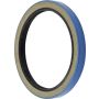 ALLSTAR PERFORMANCE ALL72114-10 Hub Seal 5x5 2.5in Pin 10pk