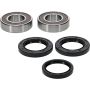 Pivot Works 25-1158-P Kawasaki, Suzuki Wheel Bearing Kit Premium Bearings