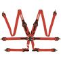 Racequip 855015 Red FIA CAMLOCK 6pt 2in Pull Down Lap FHR