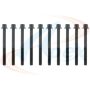 APEX GASKET AHB556 Head Bolt Set