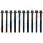 APEX GASKET AHB558 Head Bolt Set