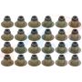 APEX GASKET AVS11082 Valve Stem Seal Set