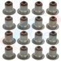 APEX GASKET AVS2085 Valve Stem Seal Set