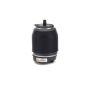Arnott Industries A-2960 Air Spring