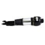Arnott Industries AS-2246 Remanufactured Air Suspension Strut