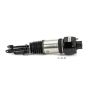 Arnott Industries AS-2301 Remanufactured Air Suspension Strut