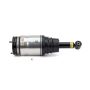 Arnott Industries AS-2534 New Air Suspension Strut