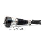 Arnott Industries AS-2540 Remanufactured Air Suspension Strut