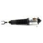 Arnott Industries AS-2563 Remanufactured Air Suspension Strut