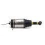Arnott Industries AS-2762 New Air Suspension Strut