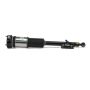 Arnott Industries AS-2821 New Air Suspension Strut
