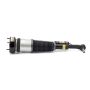 Arnott Industries AS-2853 New Air Suspension Strut