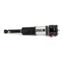 Arnott Industries AS-2856 New Air Suspension Strut