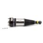 Arnott Industries AS-2891 New Air Suspension Strut