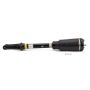 Arnott Industries AS-3005 New Air Suspension Strut