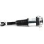 Arnott Industries AS-3030 New Air Suspension Strut