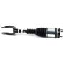 Arnott Industries AS-3156 New Air Suspension Strut