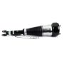 Arnott Industries AS-3162 New Air Suspension Strut