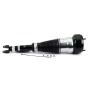 Arnott Industries AS-3163 New Air Suspension Strut