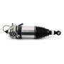 Arnott Industries AS-3166 New Air Suspension Strut