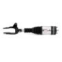 Arnott Industries AS-3251 New Air Suspension Strut