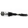 Arnott Industries AS-3289 New Air Suspension Strut