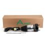 Arnott Industries AS-3337 New Air Suspension Strut