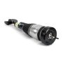 Arnott Industries AS-3337 New Air Suspension Strut