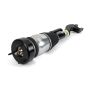 Arnott Industries AS-3338 New Air Suspension Strut