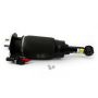 Arnott Industries AS-3461 New Air Suspension Strut