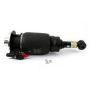 Arnott Industries AS-3462 New Air Suspension Strut