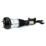 Arnott Industries AS-3465 Remanufactured Air Suspension Strut