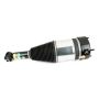 Arnott Industries AS-3801 New Air Suspension Strut