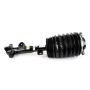 Arnott Industries AS-3895 New Air Suspension Strut