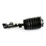 Arnott Industries AS-3897 New Air Suspension Strut