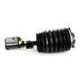 Arnott Industries AS-3898 New Air Suspension Strut