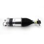 Arnott Industries AS-4411 New Air Suspension Strut