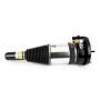 Arnott Industries ASE-3631 New Electronic Air Suspension Strut