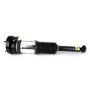 Arnott Industries ASE-3819 New Electronic Air Suspension Strut