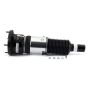Arnott Industries ASE-3820 New Electronic Air Suspension Strut