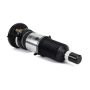 Arnott Industries ASE-3820 New Electronic Air Suspension Strut