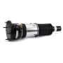 Arnott Industries ASE-3820 New Electronic Air Suspension Strut