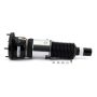 Arnott Industries ASE-3821 New Electronic Air Suspension Strut