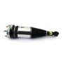 Arnott Industries ASE-4369 New Electronic Air Suspension Strut