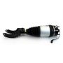 Arnott Industries ASE-4374 New Electronic Air Suspension Strut
