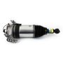 Arnott Industries ASE-4376 New Electronic Air Suspension Strut