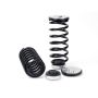 Arnott Industries C-2180 Coil Spring Conversion Kit
