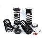 Arnott Industries C-2227 Coil Spring Conversion Kit